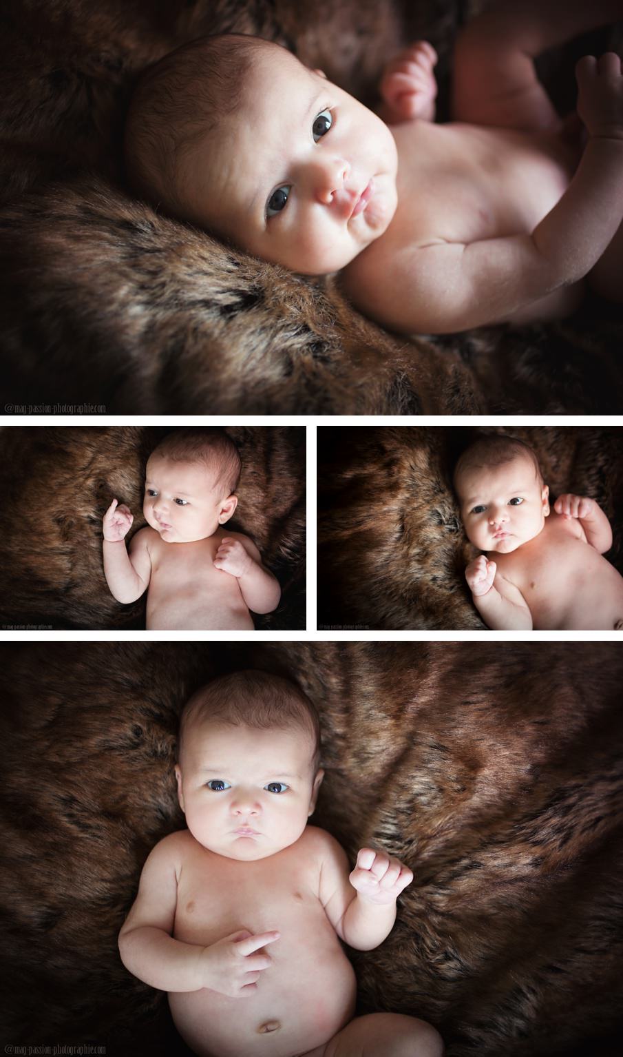 PHOTOGRAPHE NOUVEAU NE | STUDIO | LOIRE & HAUTE-LOIRE